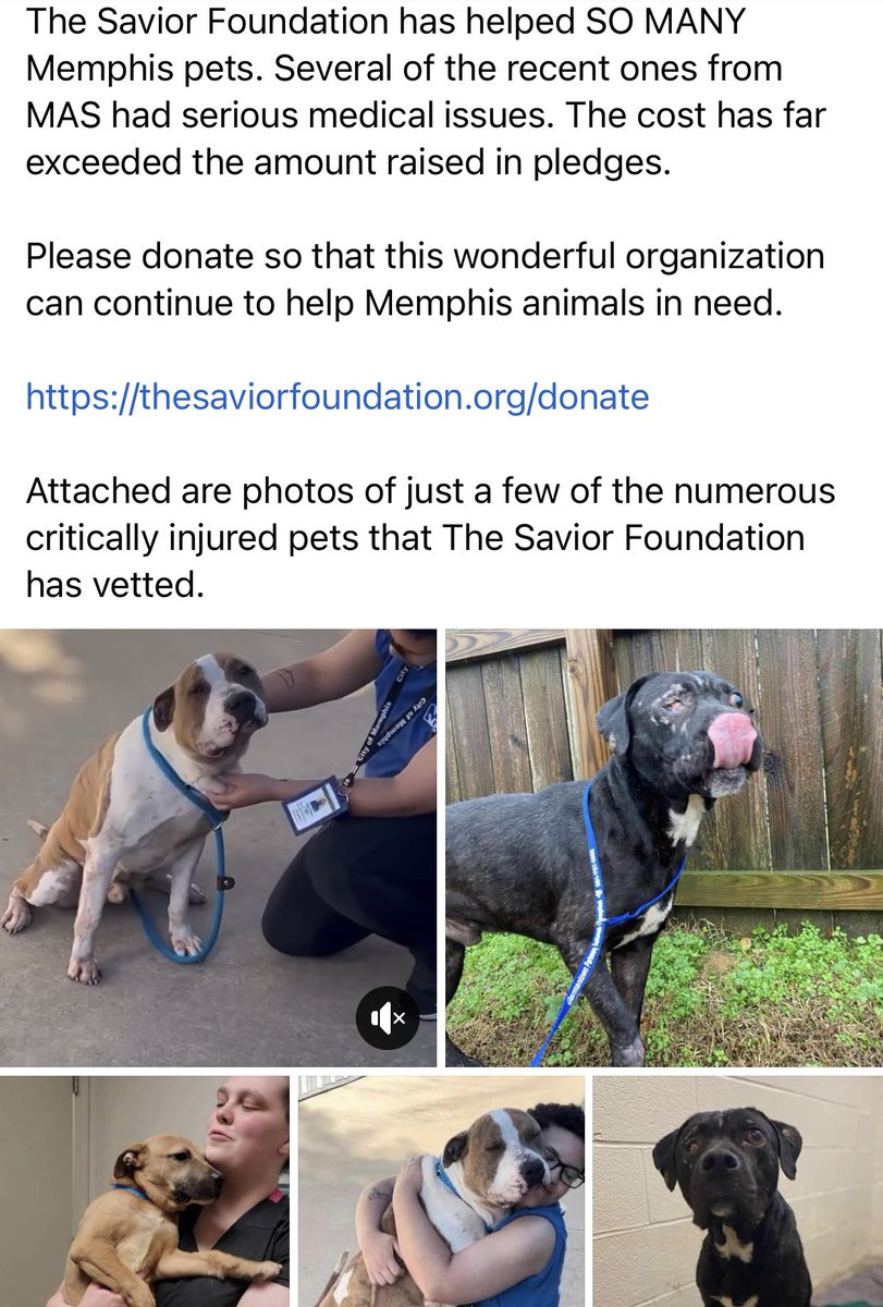 Susie Davis tweet media
