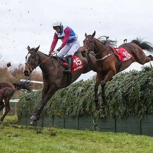 lucindavrussell's tweet photo. We are sad to share that One For Arthur died this morning. A horse of a lifetime, he made our dreams come true when winning the Aintree Grand National in 2017. Arthur had a fabulous life on and off the track, and in winning at Aintree brought himself immortality. We will miss him https://t.co/WMdIknQAWy