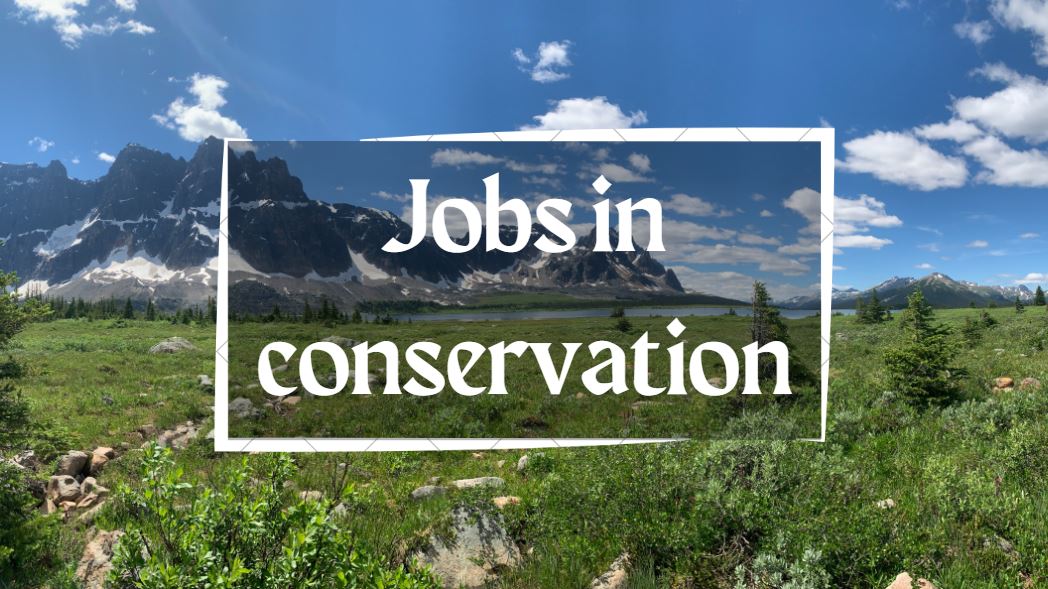 🧵 A thread of job ads (and career-related resources) in conservation science, policy, and practice. I'll add to it over time. Focus will be largely in Canada, with occasional posts for other parts of the world. #ConservationJobs
