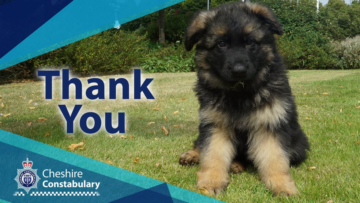 The 17-year-old girl who went missing from Newhall has thankfully now been found safe and well. Thanks to all for helping to share our appeal.