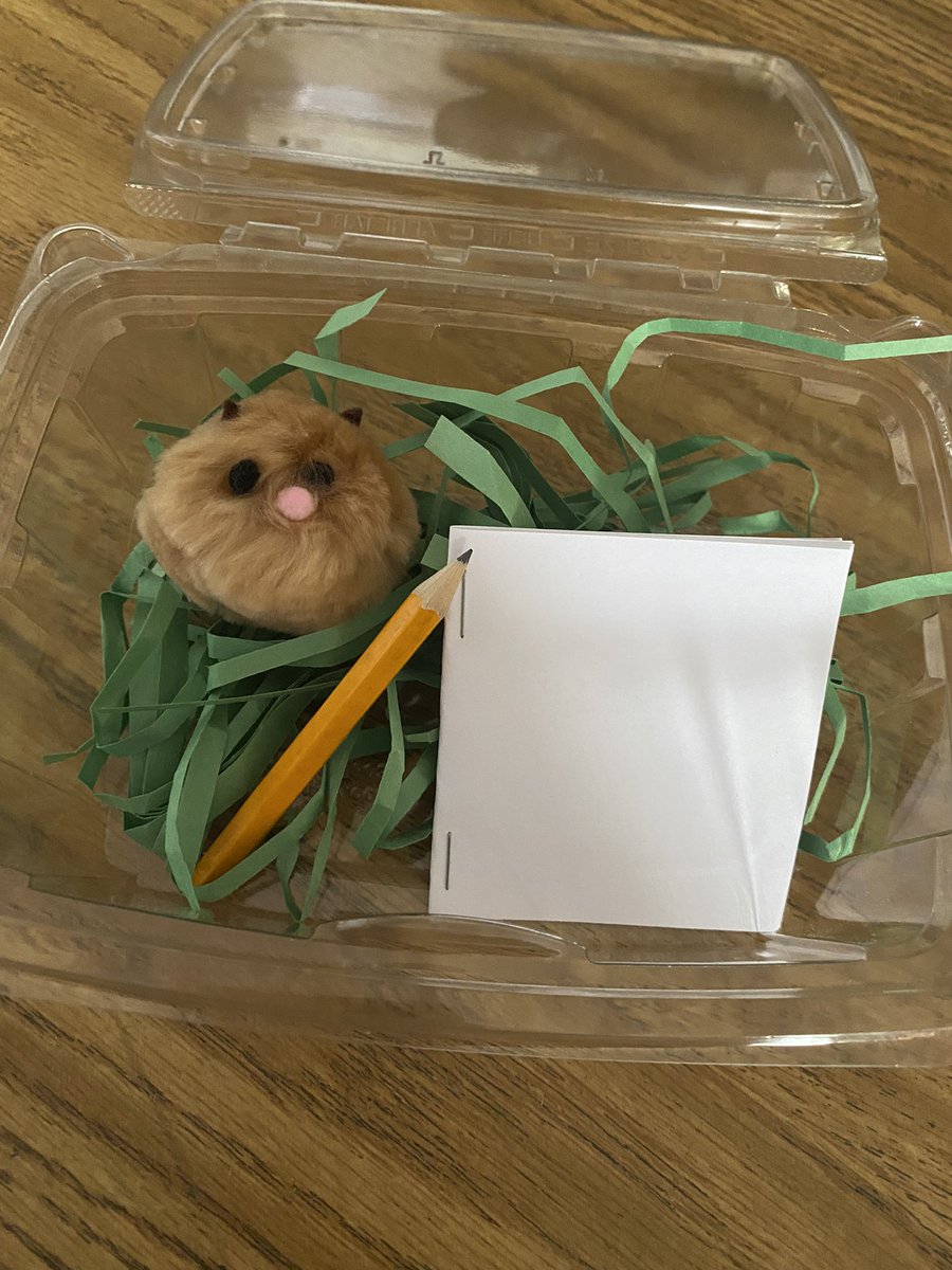 Today was hamster adoption day!🐹 Can’t wait to hear about all the adventures 2M’s hamsters go on over break! @CowlishawKoalas #204reads