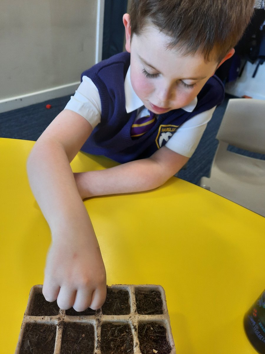 Room 2 had a delayed #WDSD2023 today we planted our sunflower seeds. @HareleeshillPS #itsSLC