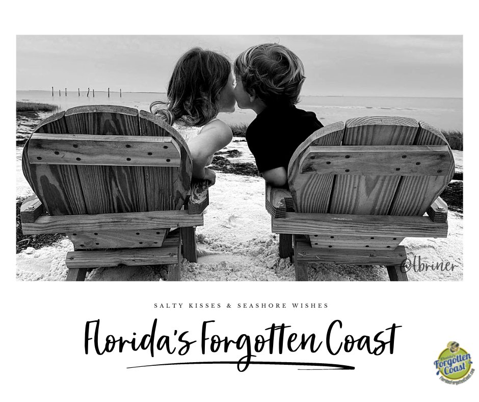 franklintdc's tweet photo. Salty kisses &amp; Seashore wishes 💋🏖️☀️
📍 Carrabelle Beach, FL
📸 IG @ lbriner
Plan your perfect vacay - https://t.co/uf1A1Rljn4
#visit #florida #forgotten #coast #forgottencoast #salty #kisses #seashore #wish #apalachicola #carrabelle #stgeorgeisland #alligatorpoint #eastpoint https://t.co/DMuDcmRFZw