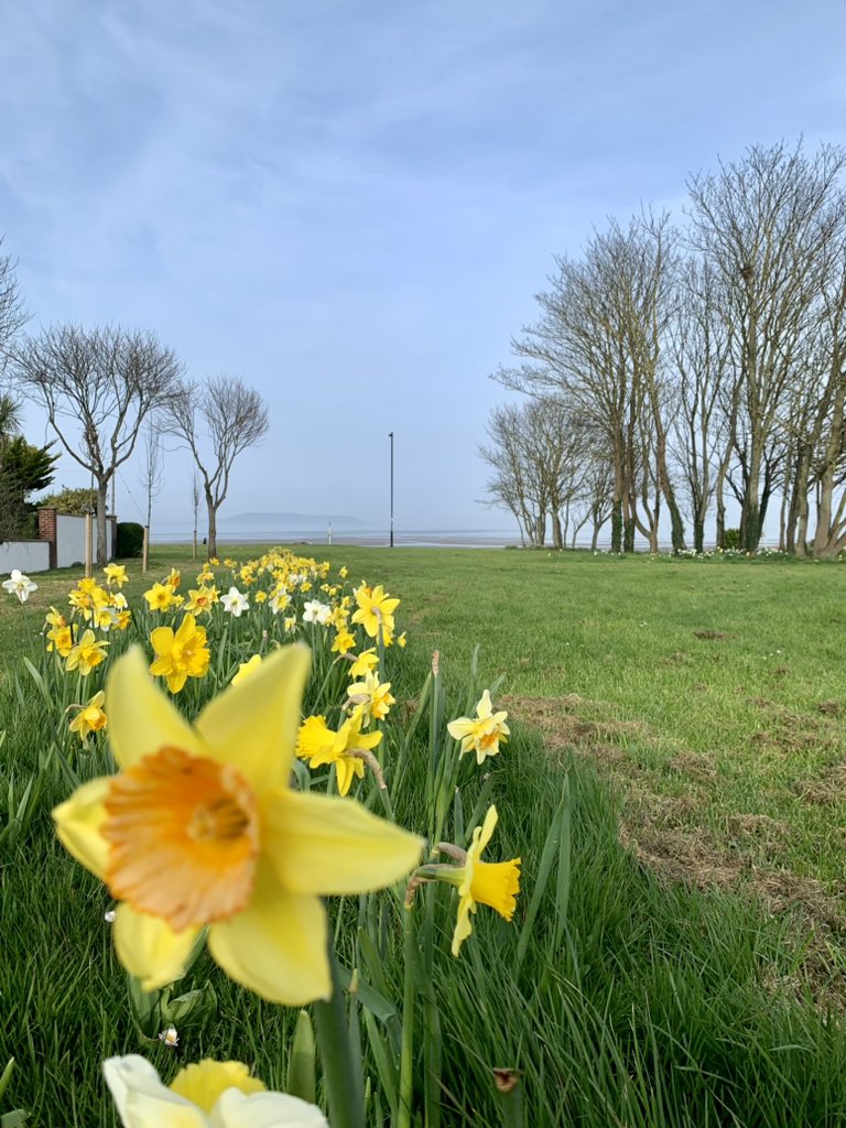 RebeccaOBtcd's tweet photo. Finally submitted my PhD thesis today! Particularly serendipitous that today is #DaffodilDay, such an important day for the wonderful @IrishCancerSoc who have supported my research. Special thanks to my fantastic supervisors @Niamh_LL and @JoanneLysaght for everything! https://t.co/EKElTIPMGq