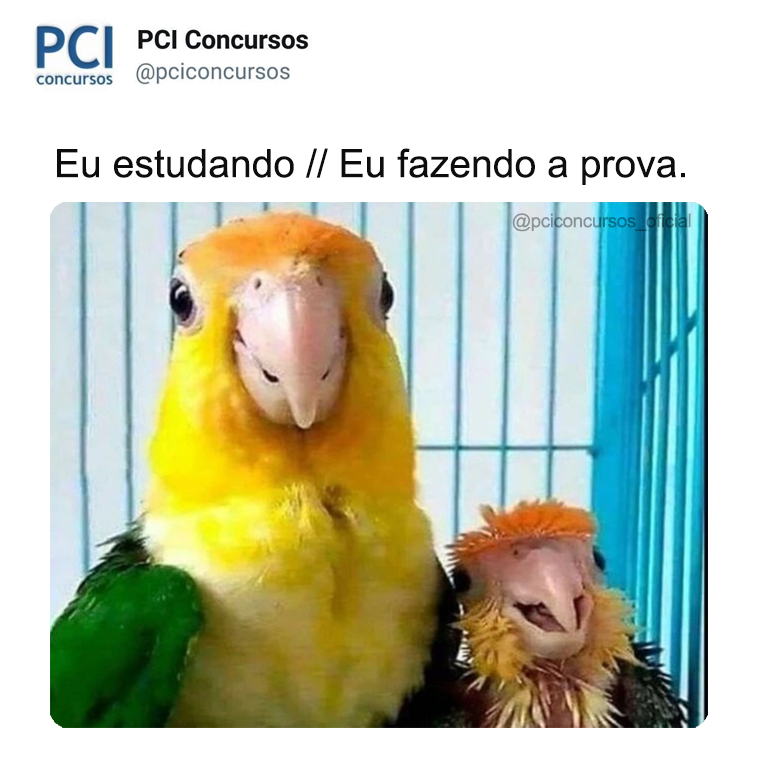 pciconcursos's tweet image. Eu que lute! 😁
.
.
#motiva #concurseiros #concursospublicos #vestibulando #universidade #professor #conhecimento #estudando #vidadeconcurseiro #lettering #studymotivation #educacao #advogado #atepassar #advocacia #matematica #cursinho #pciconcursos #reda #direitoporamor #advoga