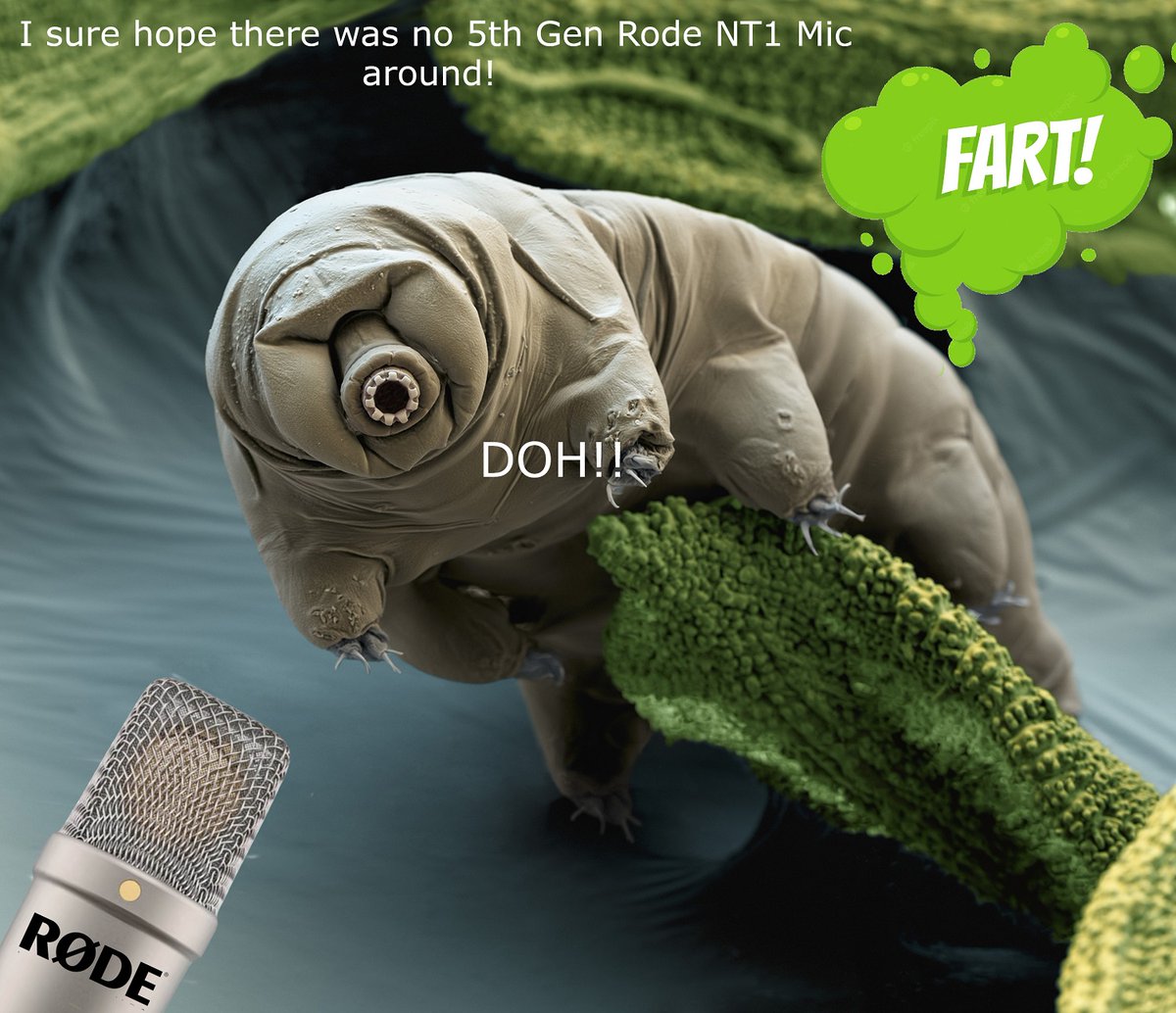 KungFu_Grid's tweet photo. @rodemics The sound of a tardigrade farting! https://t.co/duRjsJcJ72