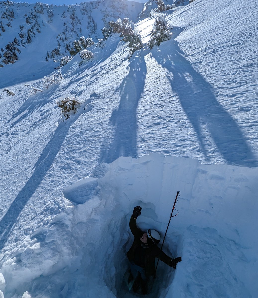 Philipp Arndt tweet media