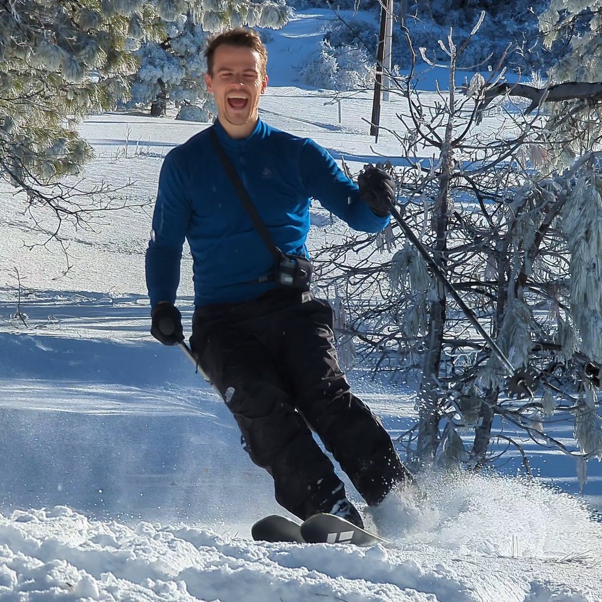 Philipp Arndt tweet media