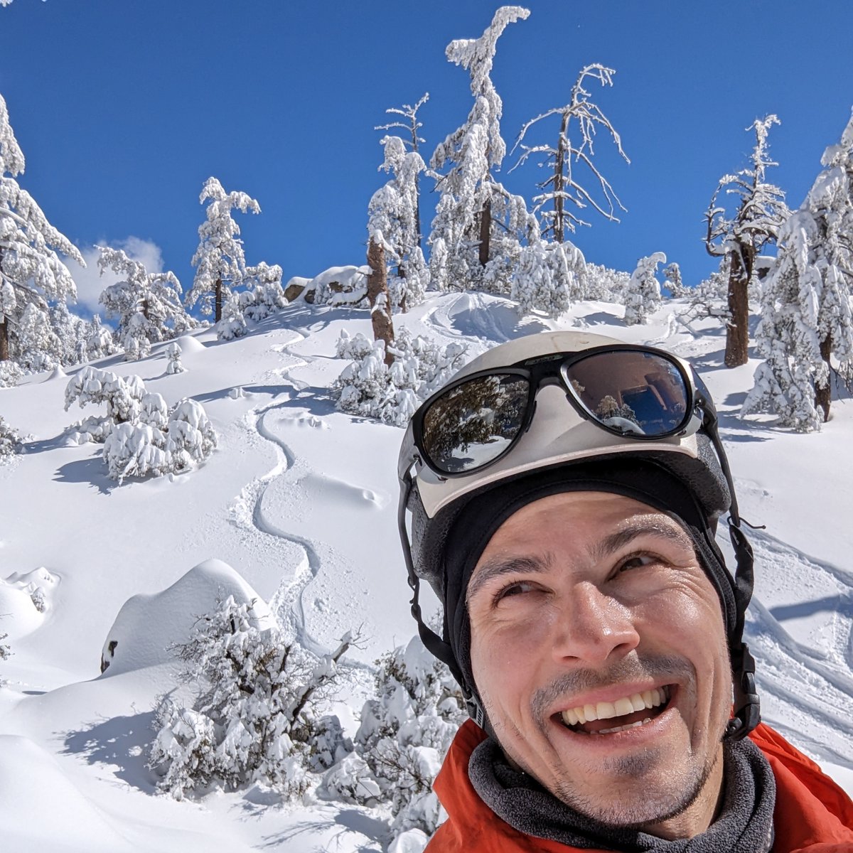 Philipp Arndt tweet media