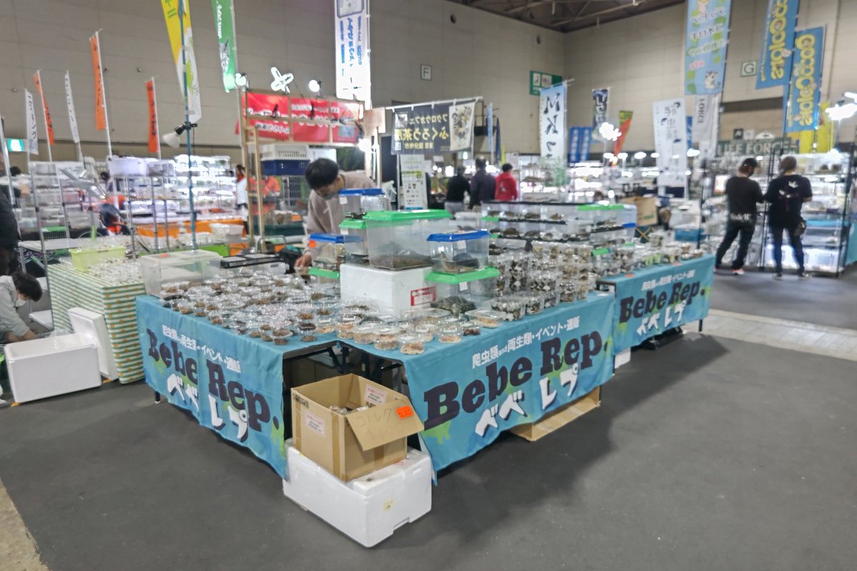 BebeRep's tweet image. ナゴヤレプタイルズワールドにおこしの際は是非お立ち寄りください！