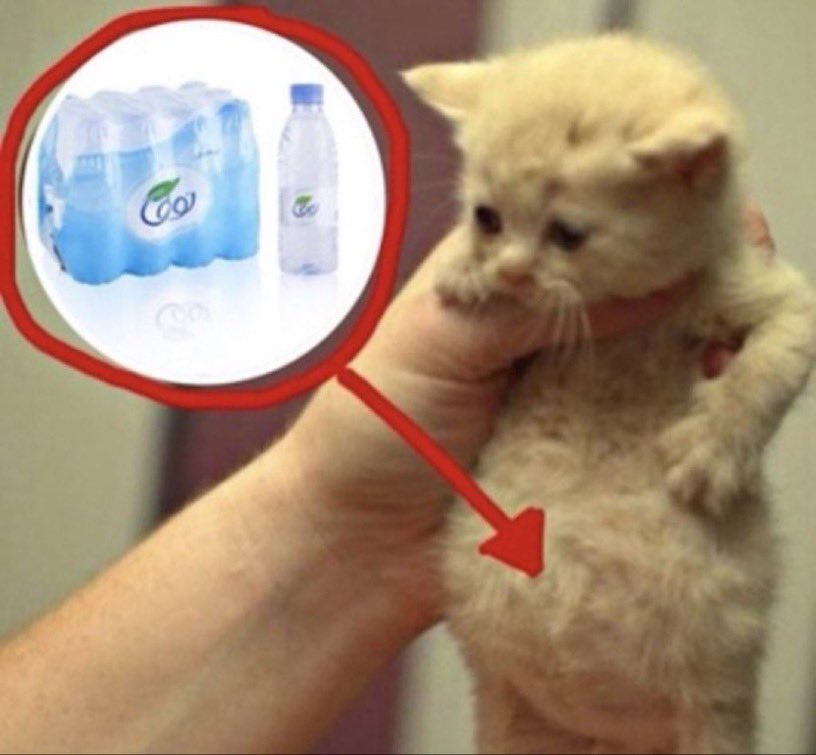 Nasser (@tsumi_nm) on Twitter photo 