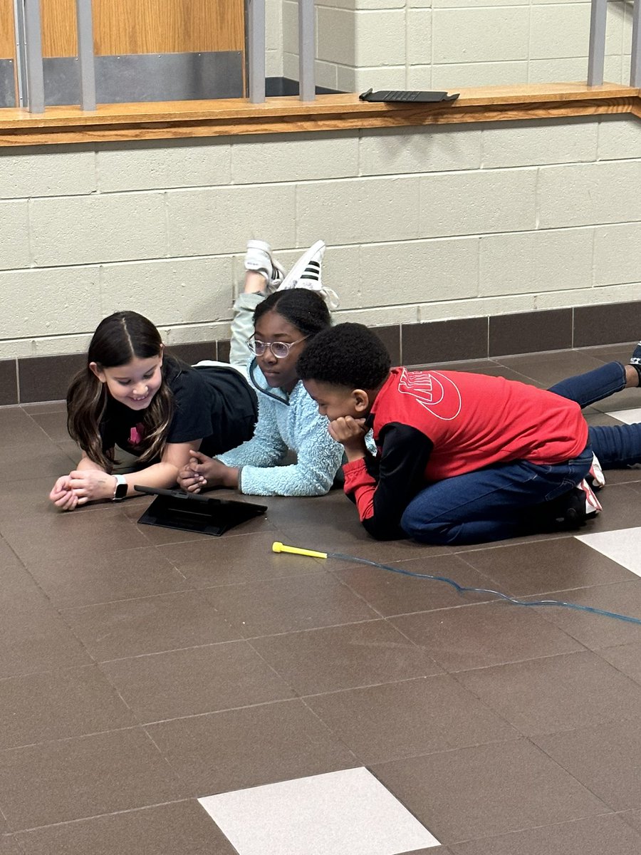 Vita Carnduff tweet media