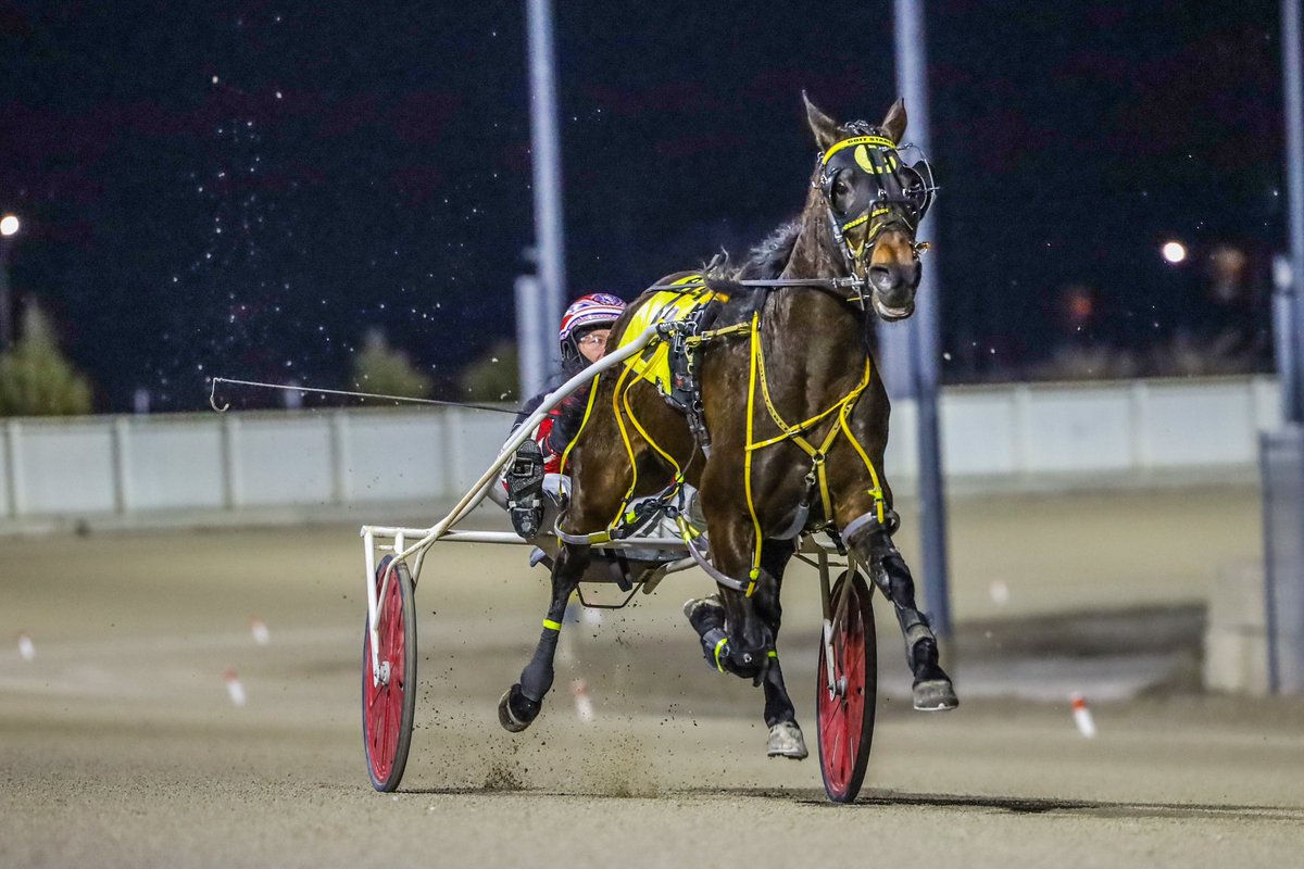 Darlington Hanover was a much improved &amp; hard closing 4th place finisher tonight <a href="/TheRacewayWFD/">The Raceway</a>. Look out for her next week 👀!