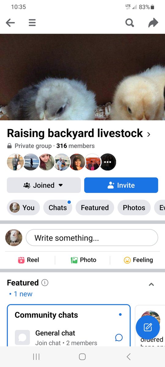 weirjohnb's tweet photo. @facebook there is a group called "raising backyard livestock" is a scam group, they are selling things and asking for deposits they removing people from the group. https://t.co/yUR9cJY7sF