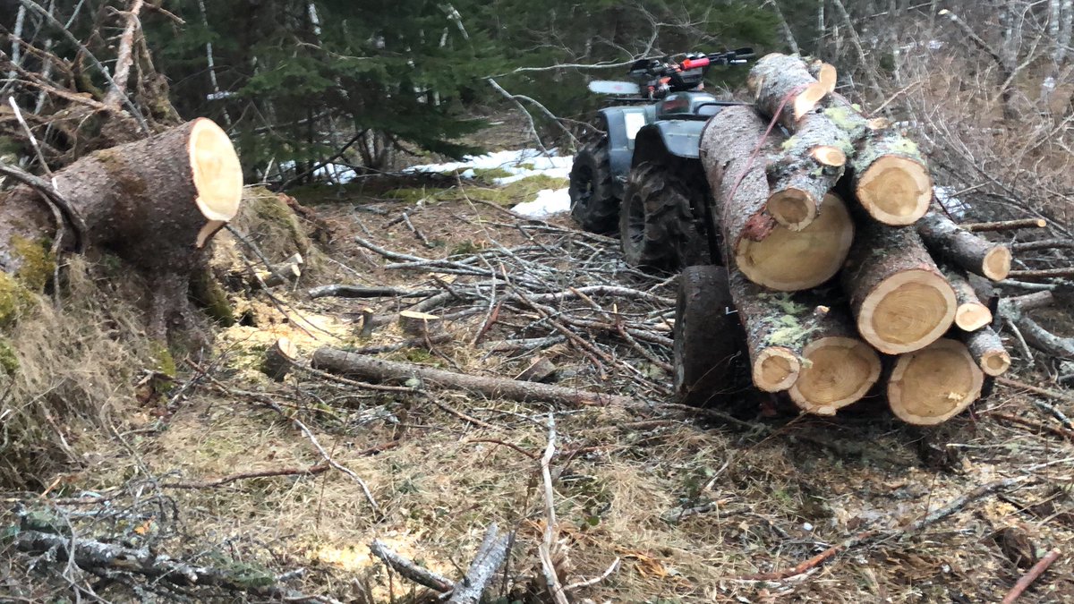 hockeydad9899's tweet photo. Hauled more #hurricanefiona wood that was blown down. Make good shed stove wood #dontwaste #hondaatv #fourtrax #honda300 #itptires #husqvarna https://t.co/2W0tcMPTpa