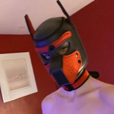 XxPup_KyroXx’s pics and videos