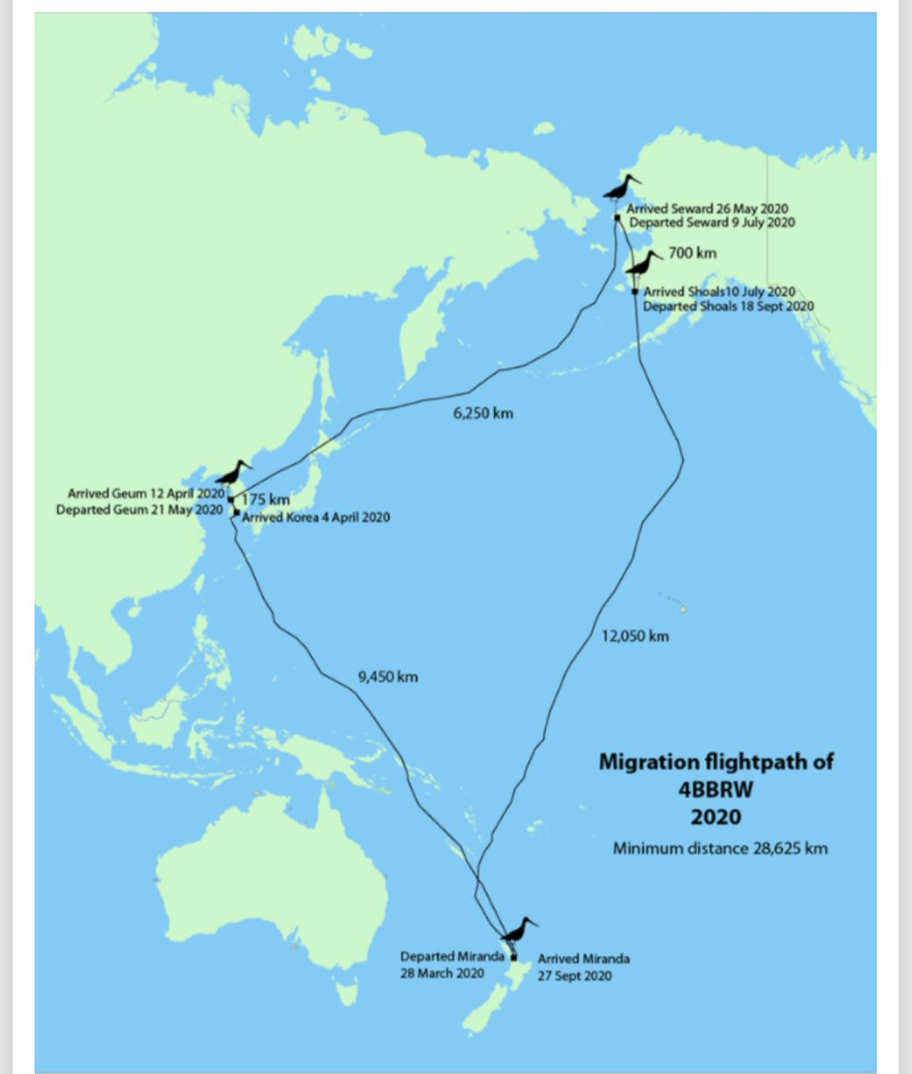 Ellen Hoy tweet media