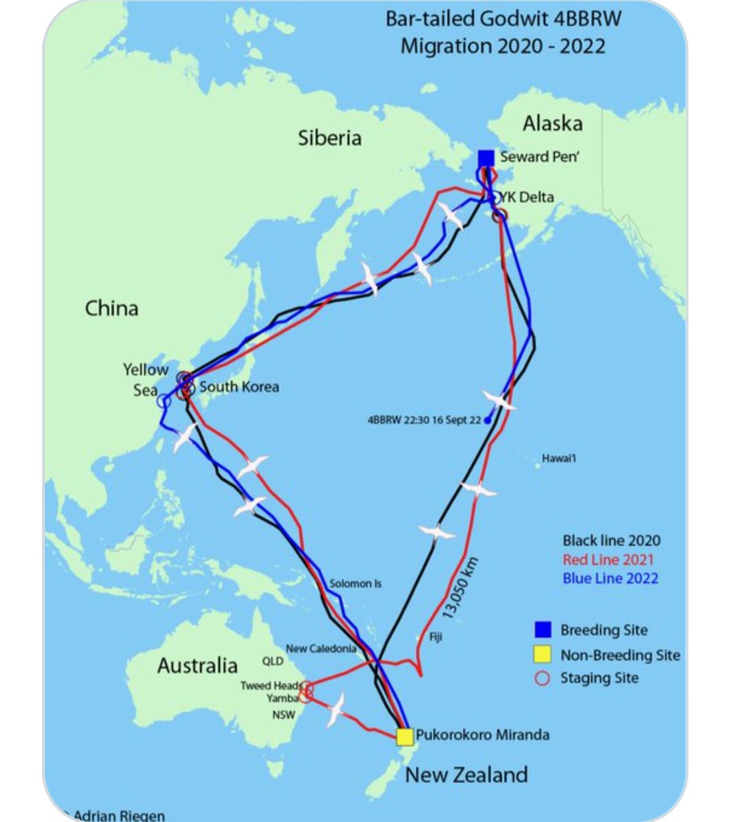 Ellen Hoy tweet media