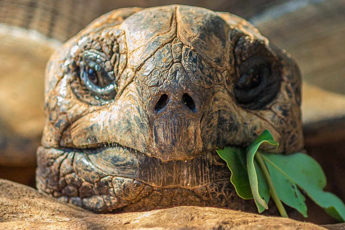 The countdown has begun… Registration deadline is only ONE WEEK AWAY. Don’t miss out on the opportunity to join our global community 🌎 thinkgastronauts.com/galapagos/
