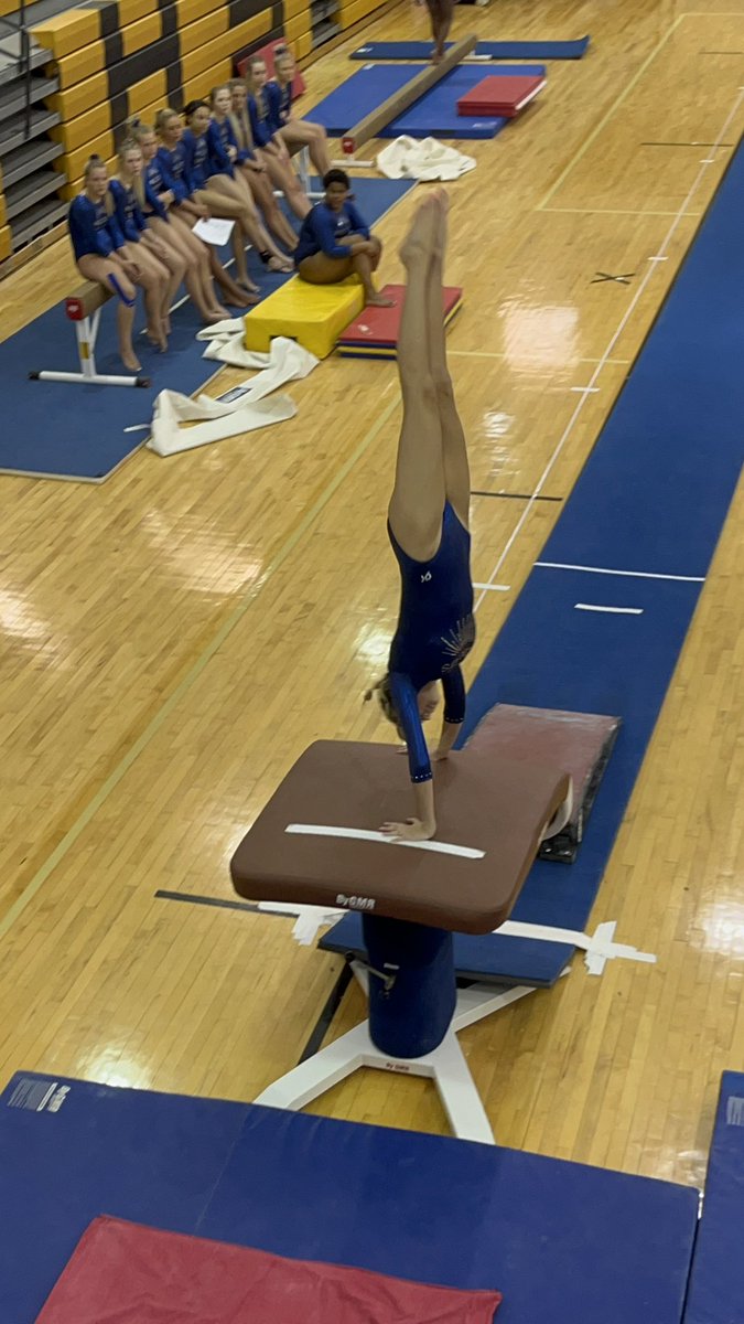 LGHS WILDCATS GYMNASTICS tweet media