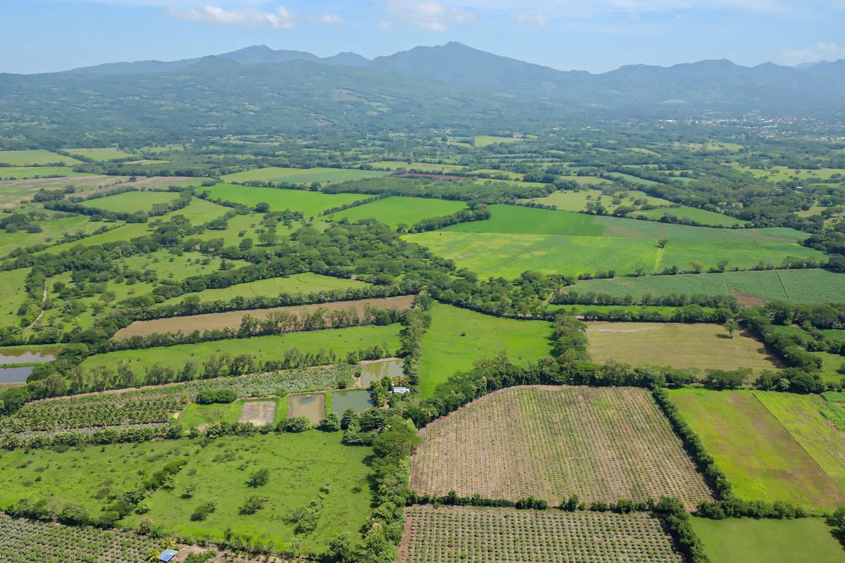 CrisFloresSV's tweet image. “Con la visión del agro como un proyecto estratégico, se establece un nuevo modelo de desarrollo del país, y nosotros lo acompañamos. Estamos sembrando futuro”, afirmó Diego Recalde, representante de la @FAOenEspanol en El Salvador.🇺🇳 

¡Vamos en el camino correcto!
