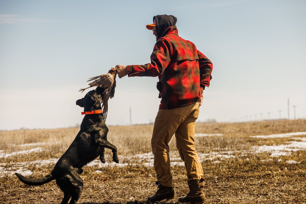 Chase Rice tweet media