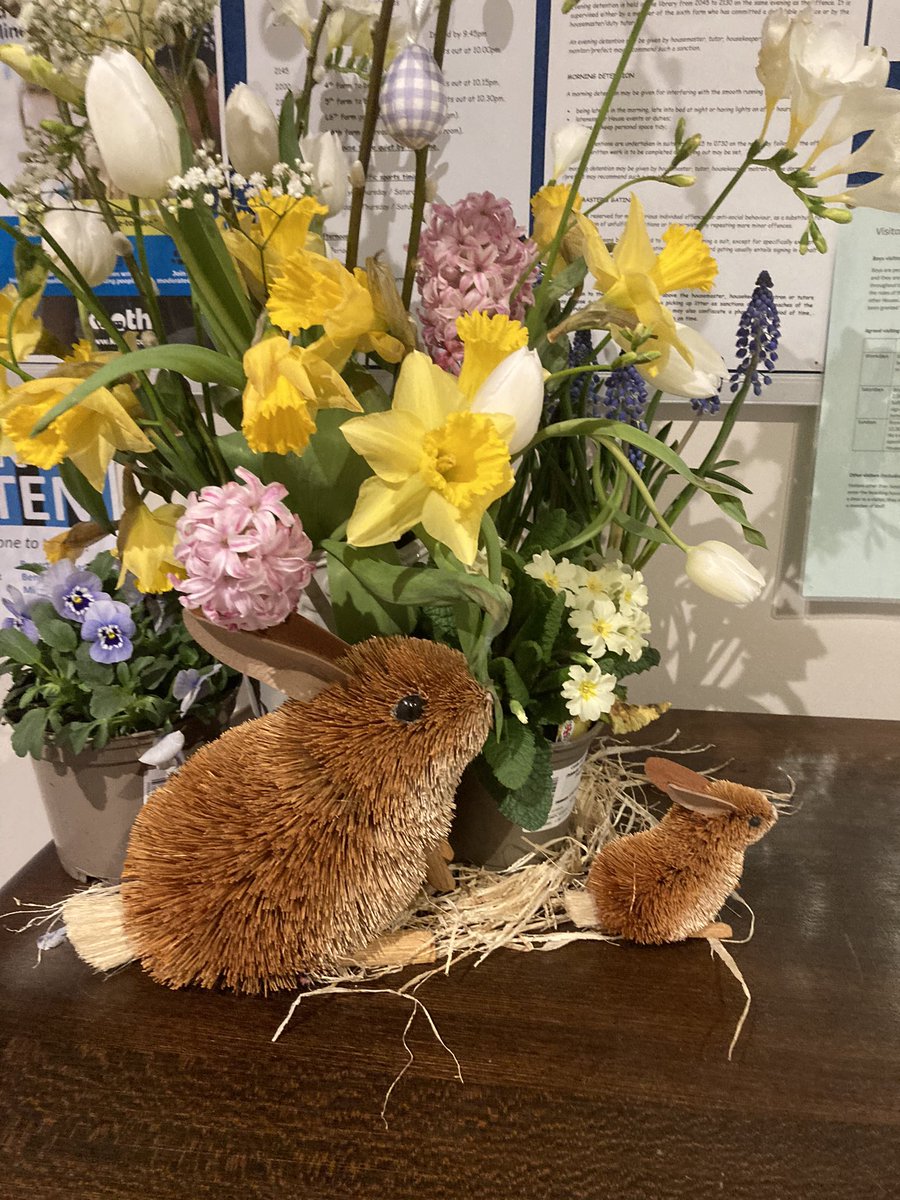 Harper House | Sherborne School tweet media