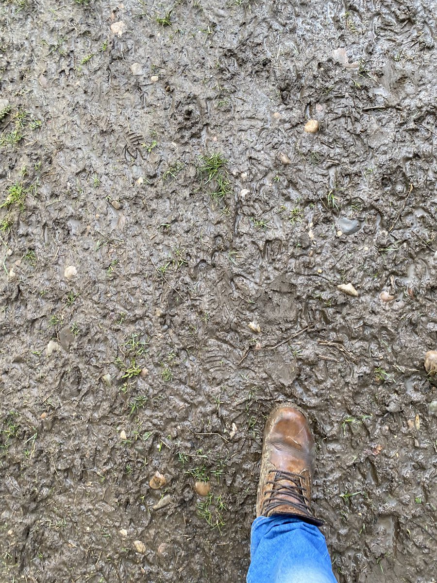 shooteditsend's tweet photo. Second shoot on a river this week but a lot more rain with @staceyitv and @catdinnenyITV followed by an edit in a pub #shootedit #cameraman https://t.co/ICx8N61uKt