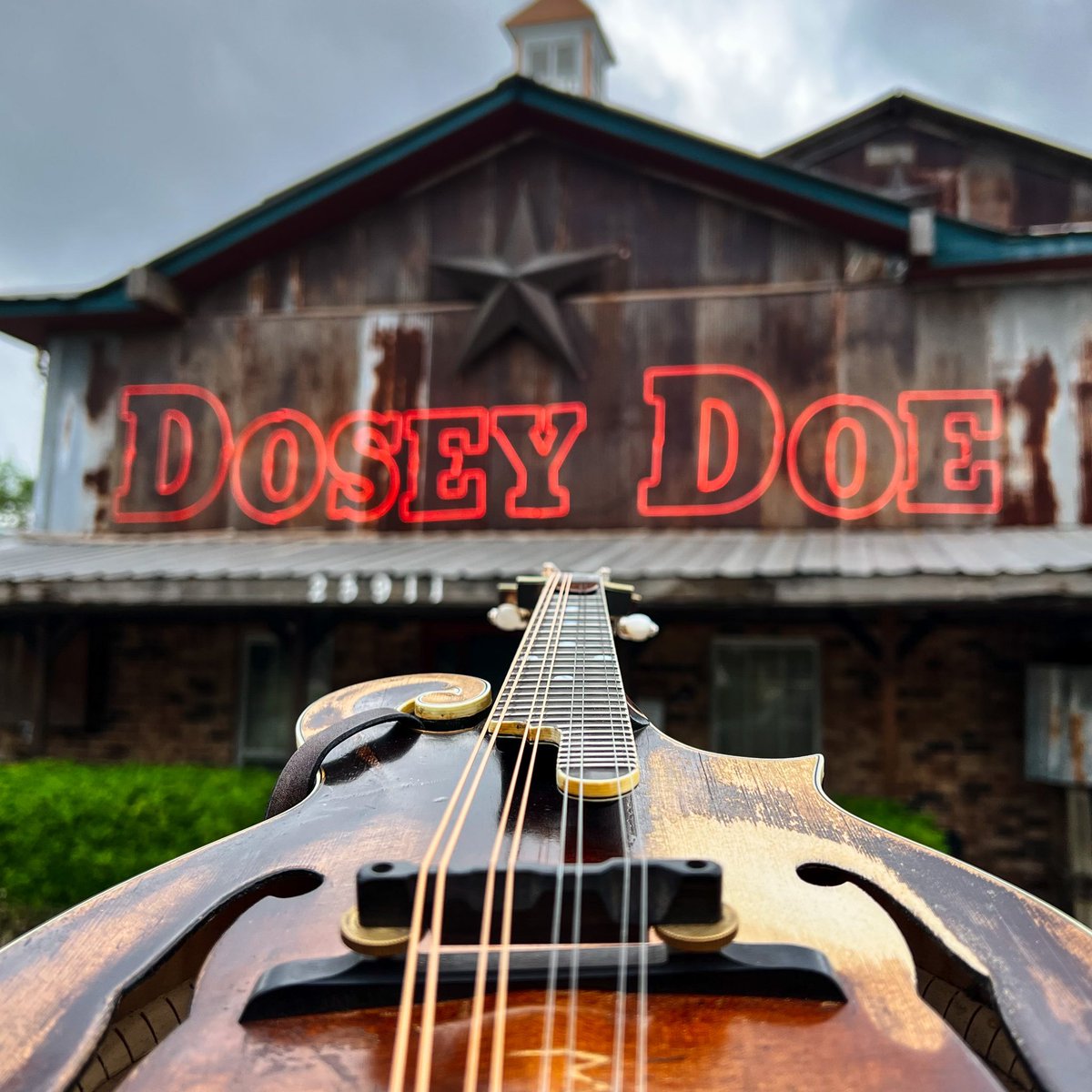 Ricky Skaggs tweet media