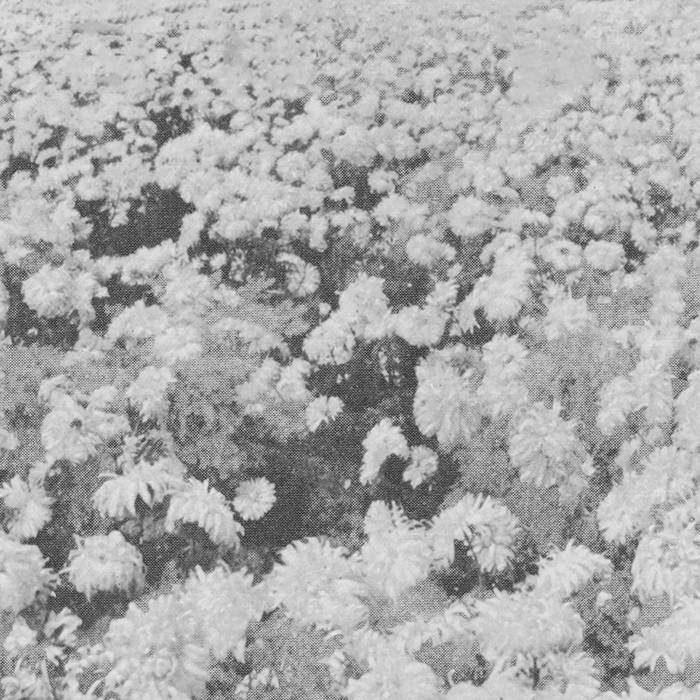 postambientlux's tweet photo. • abandoned bees
• remnants
• https://t.co/wFjgr8IRCo https://t.co/vUgUIUa4ls
