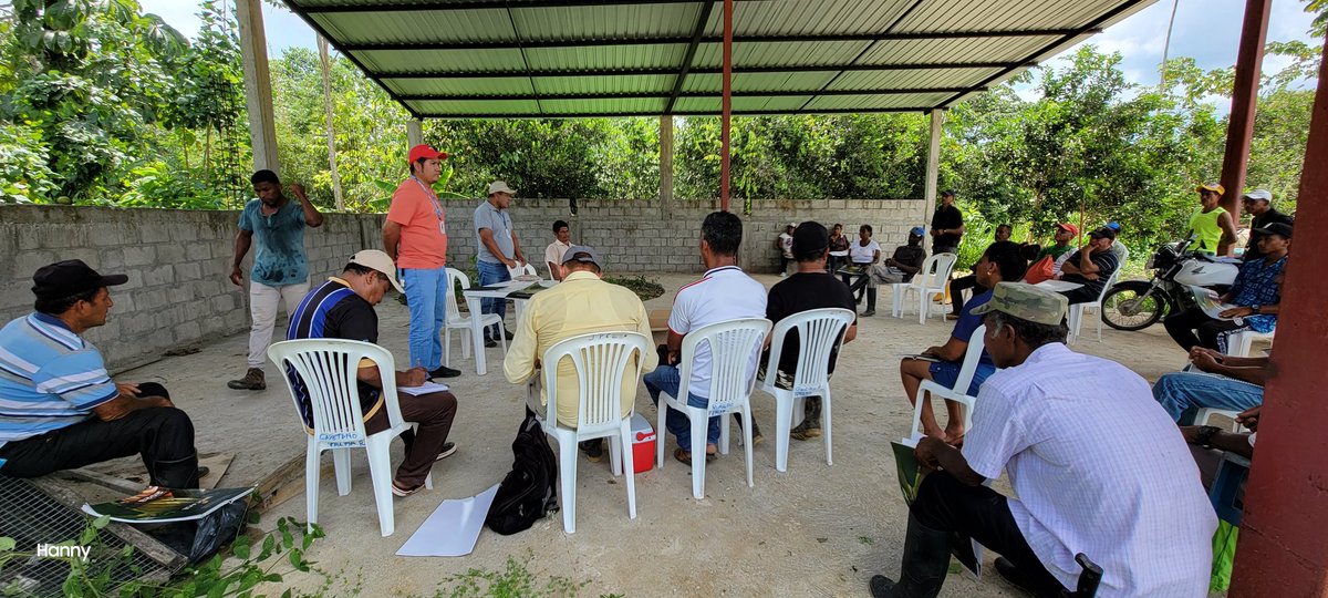 Técnicos de la Dirección Distrital del #MAGEsmeraldas realizan socialización de los Programas y Proyectos, entre ellos #CampoSeguro dando a conocer todos los costos, beneficios y coberturas del #SeguroAgrícola a productores del Cantón Muisne, Recinto Tres Vias.
#JuntosLoLogramos