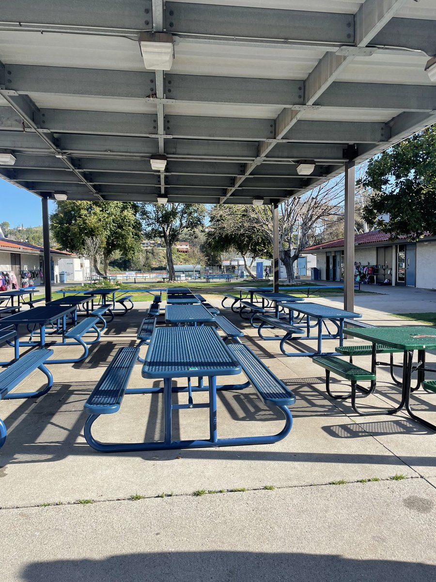 Karen Sylvester tweet media