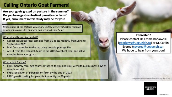 Ontario goat farmers - we need you again! This summer we are running a study to understand how goats develop immune responses to nematode parasites. Check out this poster, share widely, and get in touch to learn more! <a href="/OntarioGoat/">Ontario Goat</a> <a href="/uofg/">University of Guelph</a> <a href="/OVCPathobiology/">OVC Pathobiology</a>