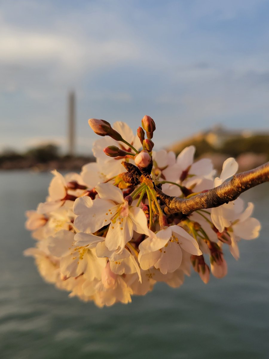 Julie Reiter tweet media