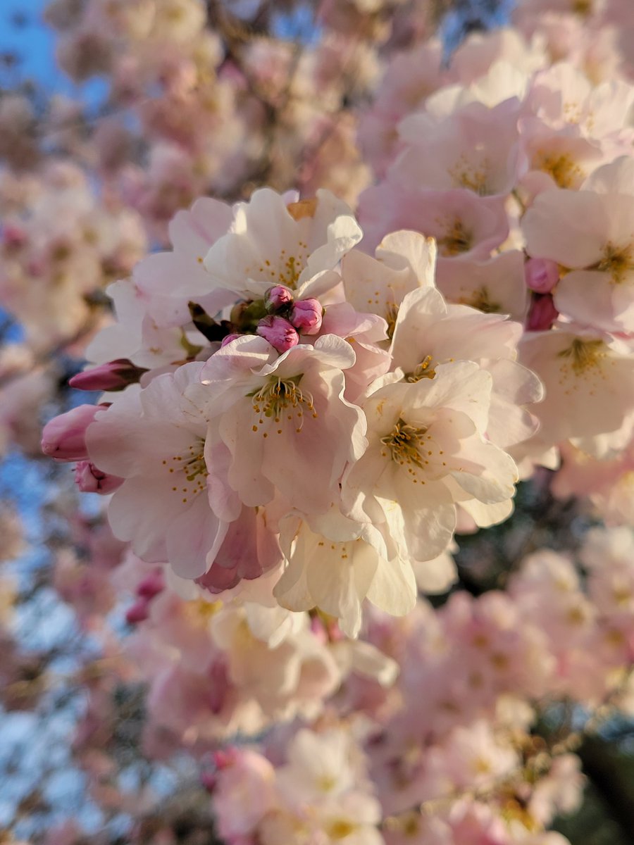 Julie Reiter tweet media