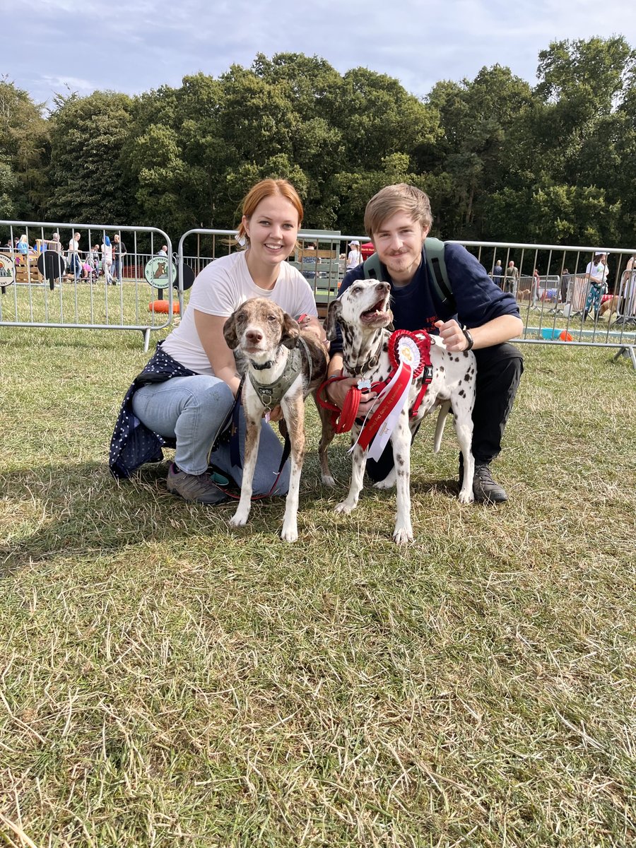 NEDogFest's tweet photo. Earlier in the year we asked our followers to send us their inspiring festival tales. 

This month we get to read about the wonderful golden oldie Charlie. 

#northeastdogfestival #kirkleyhall #dogfestival #festivalfordogs #dogfriendly #whatsonnortheast  #visitnorthumberland https://t.co/ZUHQoLOWpH