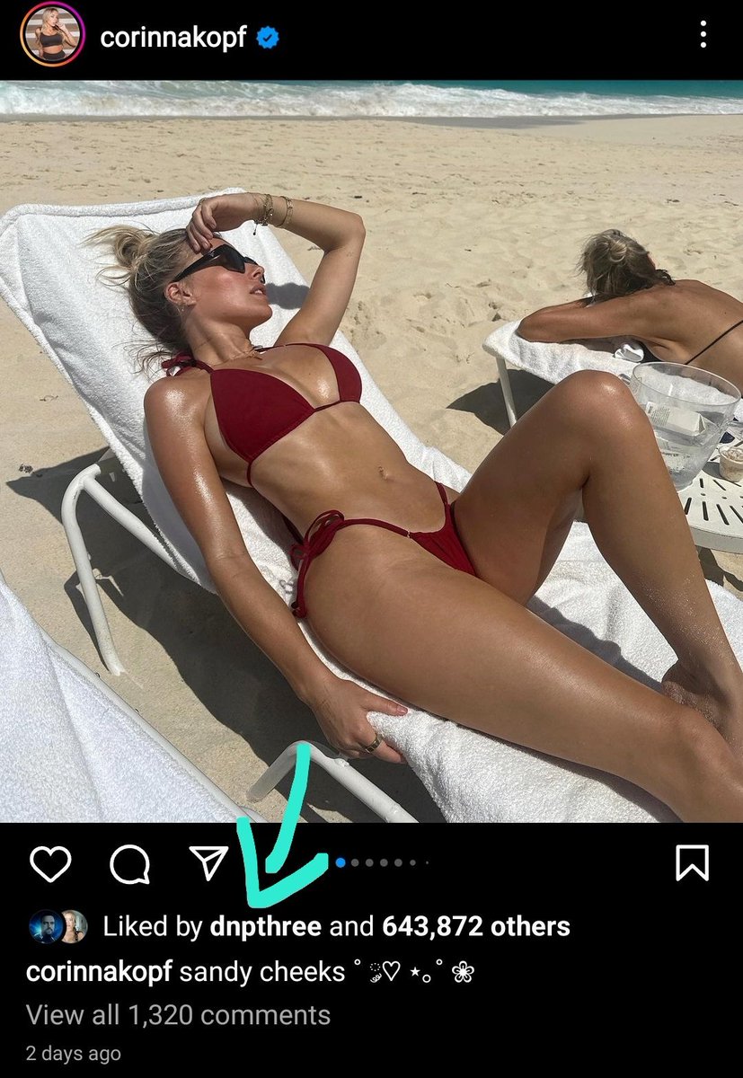 pain aka カイリュー.eth tweet media