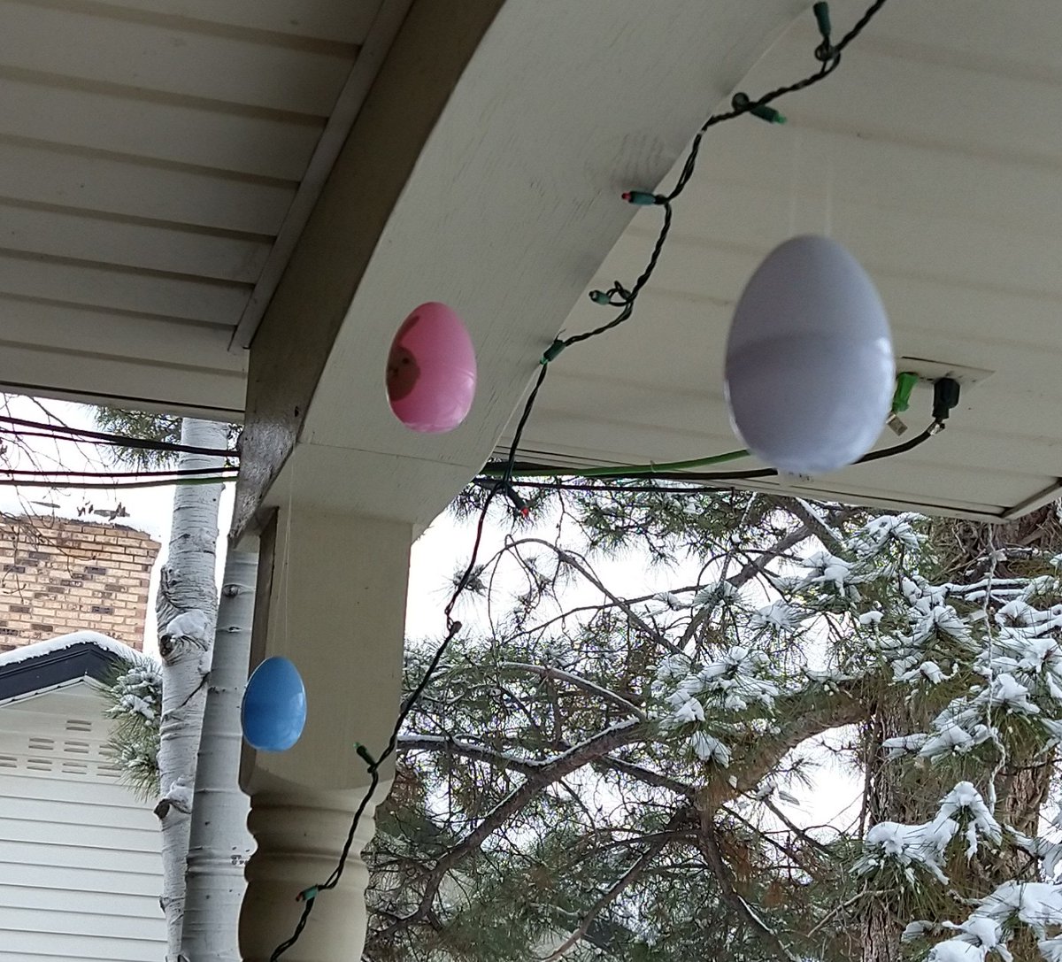 weelittlenut's tweet photo. That moment when you're hanging up Easter decorations and decide to put three eggs together in honor of the trans flag. Because, even if no one else in your house supports trans people, you do. 

#TransRightsAreHumanRights https://t.co/33UaSBAPbZ