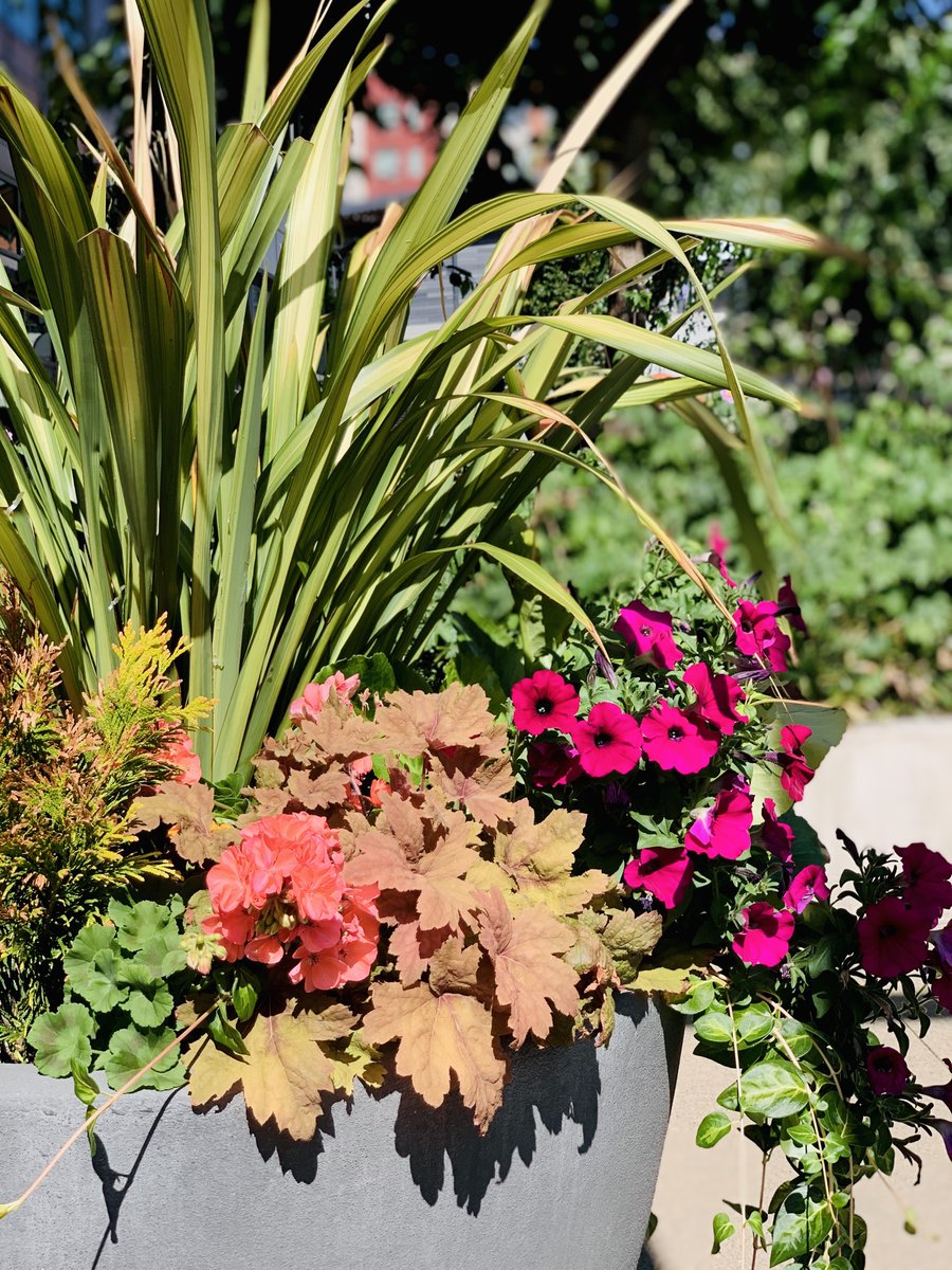 Botanical Designs tweet media