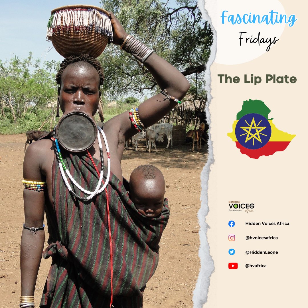 HiddenLeone's tweet image. The lip plate, also known as a lip plug or mouth plate, is a form of body modification done by the Surma and Mursi people of #ethiopia #lipplate #culture #Ethiopia #tribesofafrica
#tradition #culturematters #africa
#heritage #Mozambique
#africanculture #tribes
#hiddenvoicesafrica