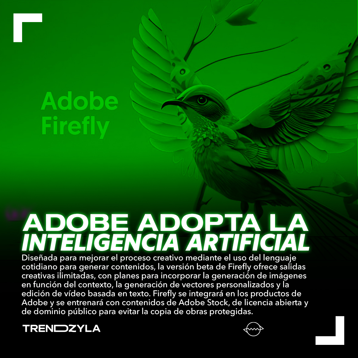 Trendzyla ® tweet media
