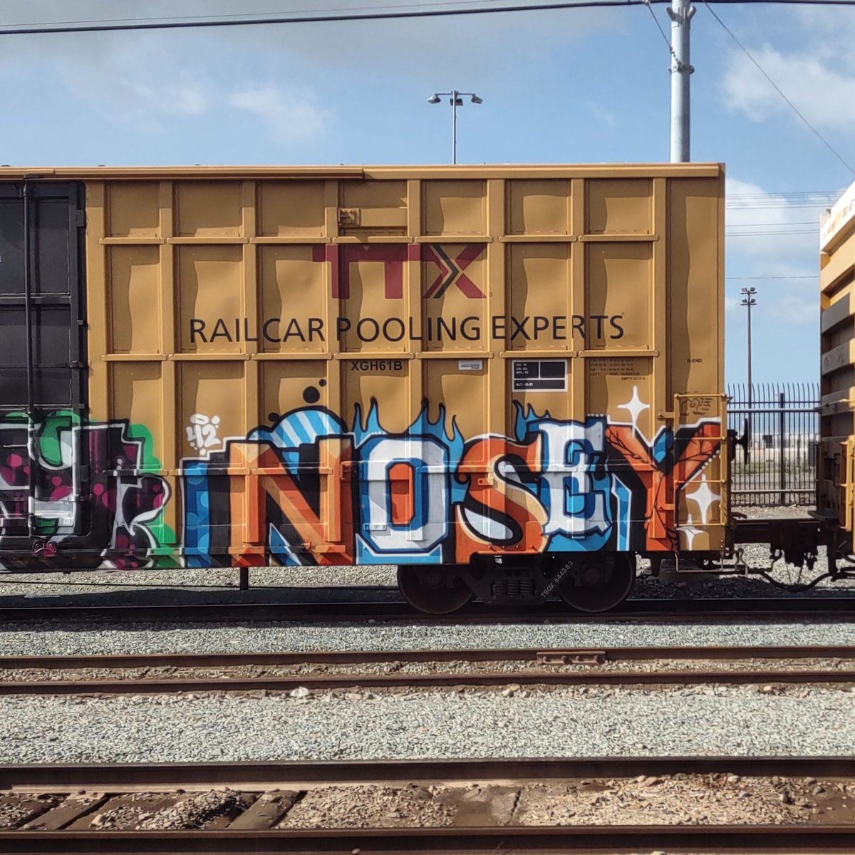 GraffitiExpress's tweet image. nosey
#sandiego #train #graffiti #art 
#nosey