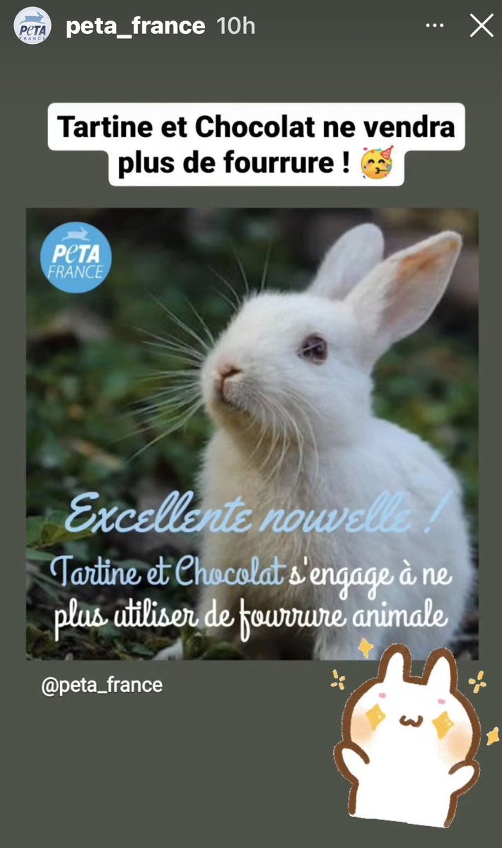 AndjelkaPe's tweet photo. 🔴VICTOIRE #Fourure 
@tetchocolat 
A force de se battre pour 
les animaux, peu à peu 
nous obtenons des résultats
Merci @PETA_France 🙏❤️ https://t.co/TOwOxV9BIv