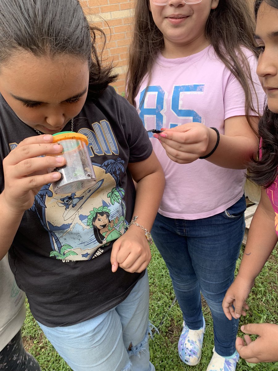 SE4Masterminds's tweet photo. Our @Sheldon_Tigers @SheldonAsp Garden Club met today & were so excited to see the new Weather & Investigation Station! Thank you @BeckyZalesnik for enriching our garden & the learning experience! Yep, they caught a frog & released it. So. Many. Squeals. ๐#STEMgarden https://t.co/I5A34roTCQ