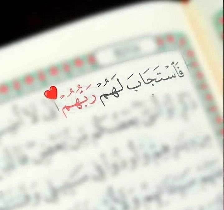 Qvv_v's tweet photo. اللهم أذقنا هذا الشعور، اللهم إجعلنا ممن يأتون إليك بالدعاء فتأتي إليهم بالرحمة والإستجابة. https://t.co/C2gtZX8fx5