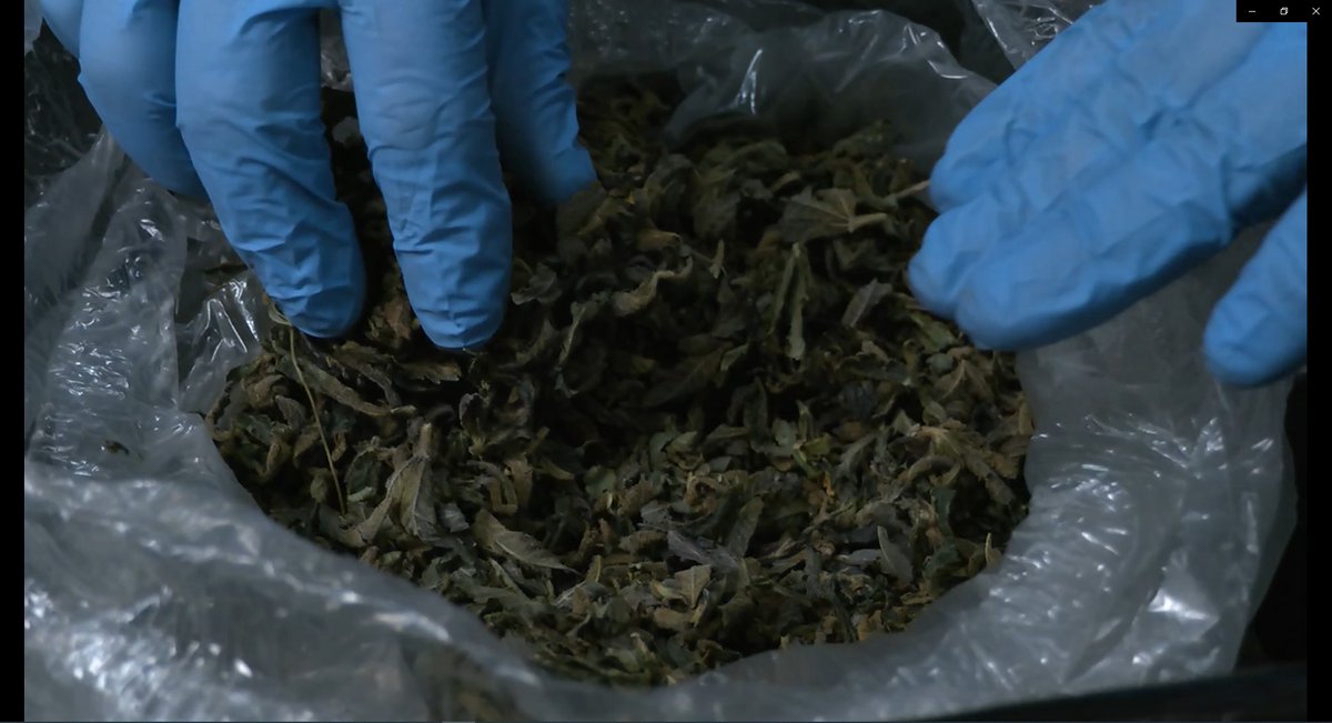 cdtfa's tweet photo. California cannabis businesses must file a retailer excise tax return before May 1, 2023. Stay compliant with the law and file your returns on time.
https://t.co/EaF9ytjfeZ
#CDTFA #cannabistax #California #taxes #smallbusiness #cannabisindustry https://t.co/SukubFsw9W