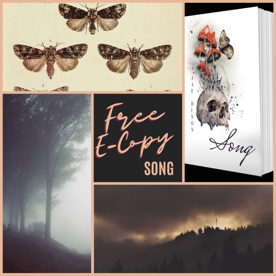 WingedSongs's tweet photo. I'll be traveling all weekend, so if y'all can continue to boost Song's link so people can grab a copy that would be much appreciated.

https://t.co/8qofxjBVre

It's on ZON KU, kindle &amp; Paperback** if you don't get a copy now. https://t.co/pwEfO2dhu0