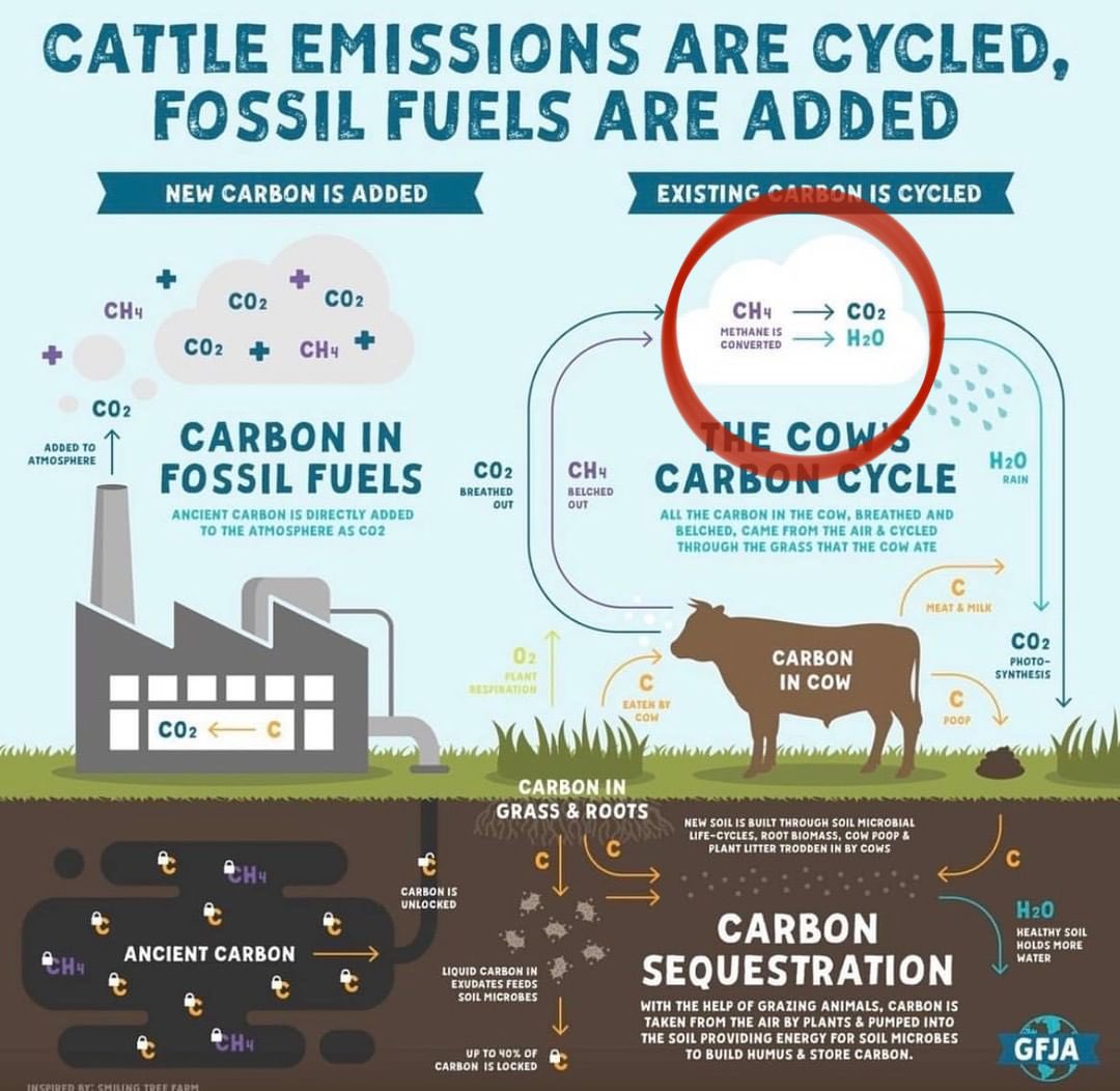 @dranthonygustin Yeah that’s not at all how it works. No matter how many meat reps repeat it over and over. 

In the circle, add in a “1-2% of CH4 converts to CO2 & H2O while the rest heats the planet at 80x+ the strength over 10 years” and we’re getting closer to it being accurate.