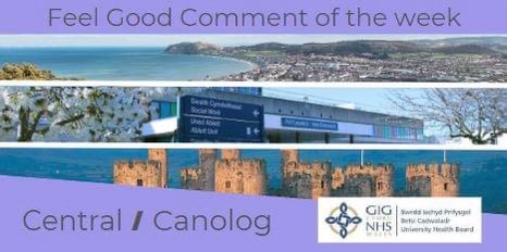 Delyth Williams tweet media