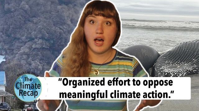 beckisphere's tweet photo. New recap! Norfolk Southern gets WORSE. The REAL reason whales are being BEACHED 
https://t.co/pujRnisCJJ

#ClimateCrisis #energytransition #EnergyTwitter #cleanenergy #whales #OhioChemicalDisaster https://t.co/sIlDlYNUYh